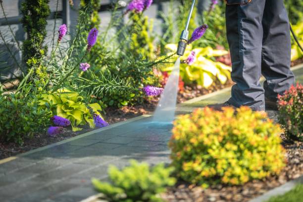 Trusted Stock Island, FL Pressure Washing Services Experts